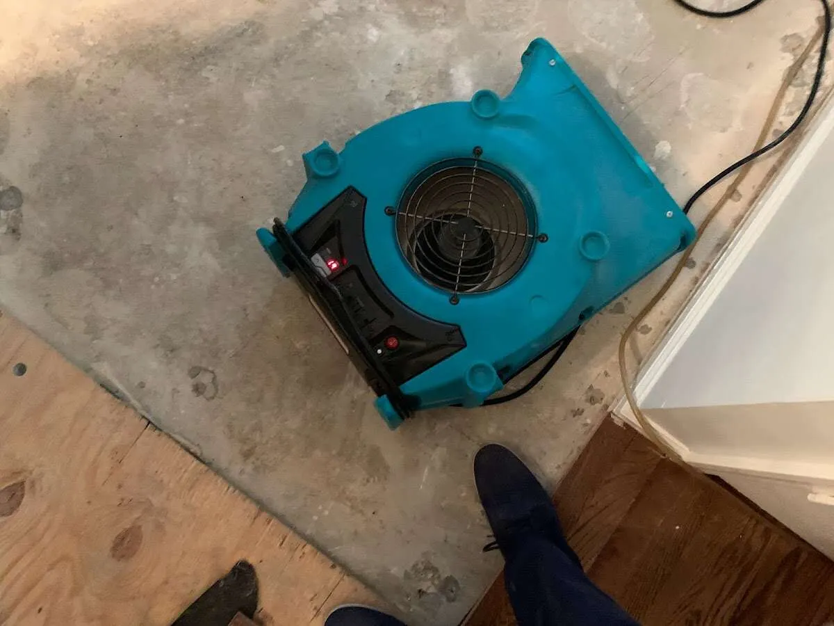 Air mover drying subfloor during Leak Detection & Repair in Sidney